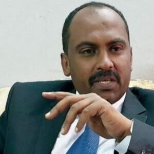 Confronting the International Muslim Brotherhood Organization: A Call for Global Action