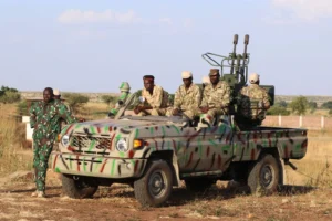 Militias’ Manifestation and Security Contests in the Major East Sudan Region