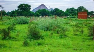 Humanitarian Challenges Facing Civilians in North Kordofan